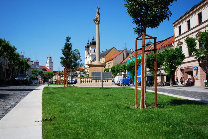 Nam pred vymenou travnika