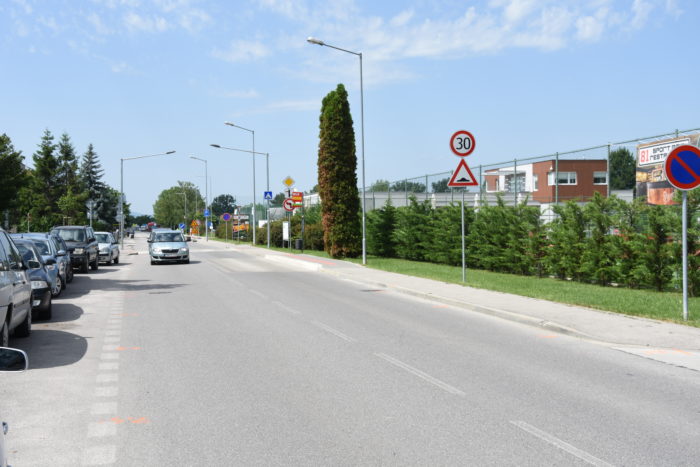 Karpatská cesta