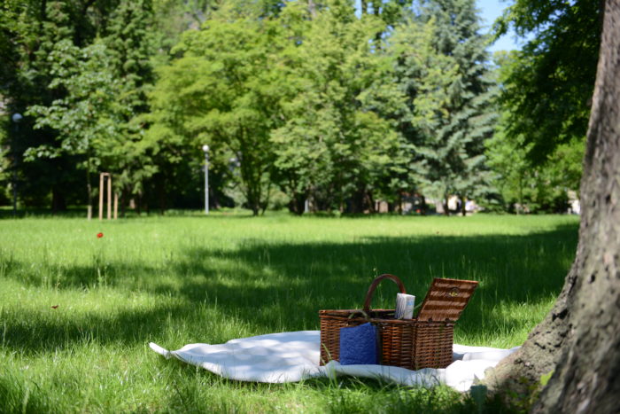 piknik v parku