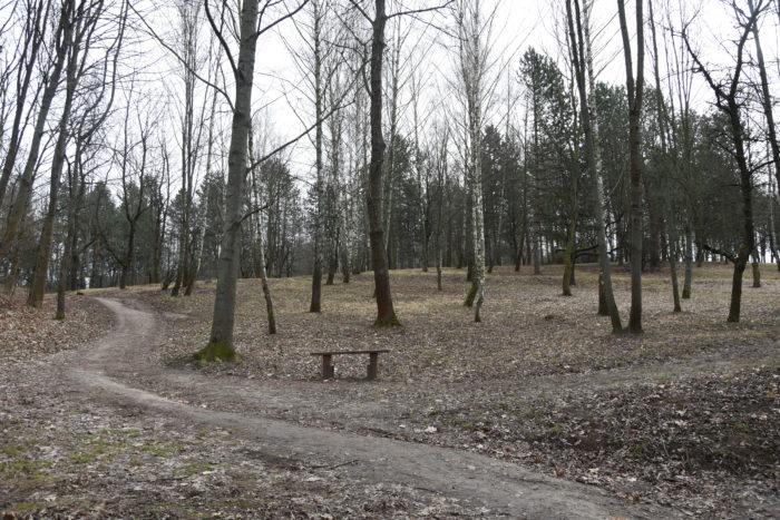 foto Z Breziny na hrad