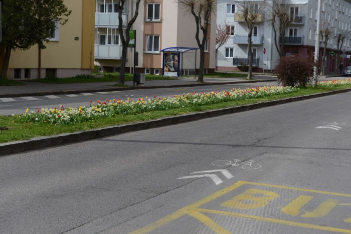 kvety na Razuske2