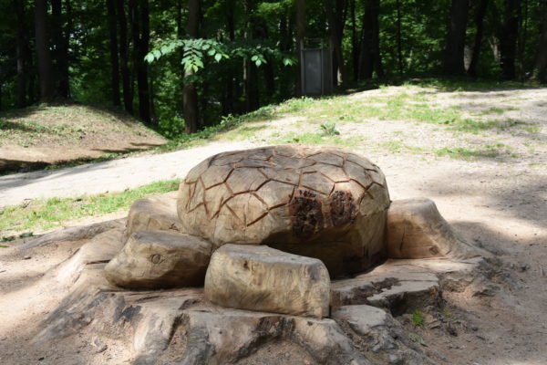 drevená korytnačka na Brezine