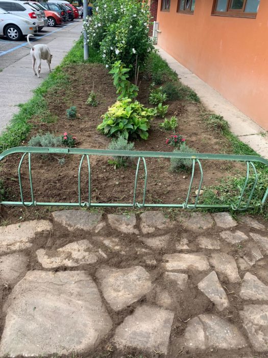 adopcia zelene OZ Vieme to lepšie