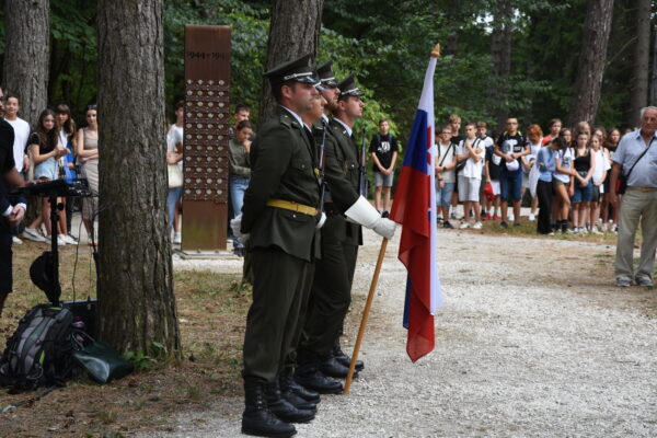 vlajkonosiči na Brezine