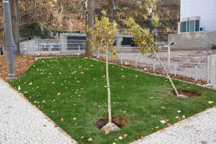 Ilustračný obrázok článku