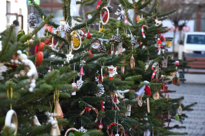 Ilustračný obrázok článku