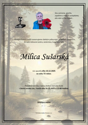 Ilustračný obrázok článku