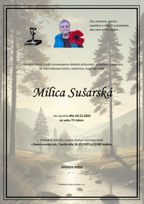 Ilustračný obrázok článku