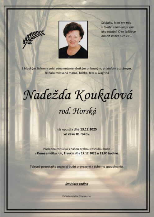 Ilustračný obrázok článku