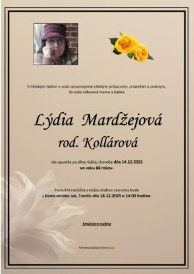 Ilustračný obrázok článku