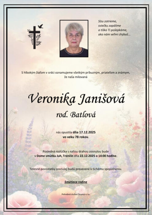 Ilustračný obrázok článku