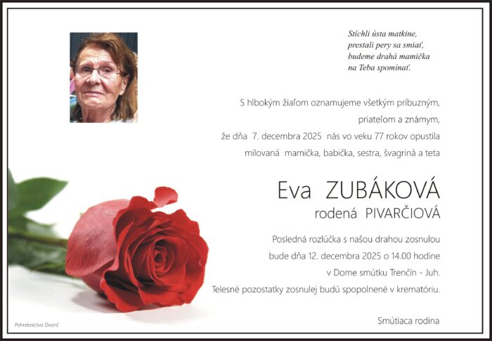 Ilustračný obrázok článku