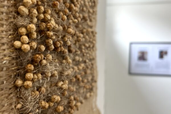 Ilustračný obrázok článku