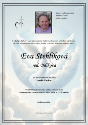 Ilustračný obrázok článku