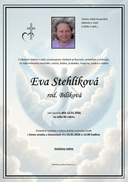 Ilustračný obrázok článku