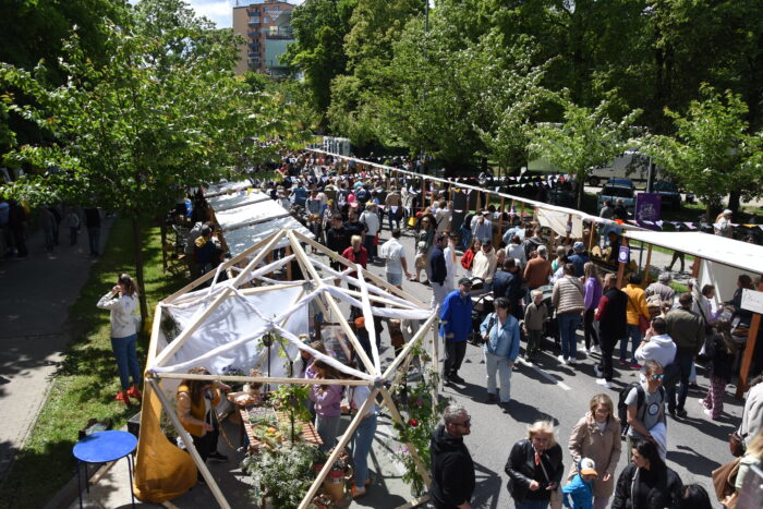 Ilustračný obrázok článku