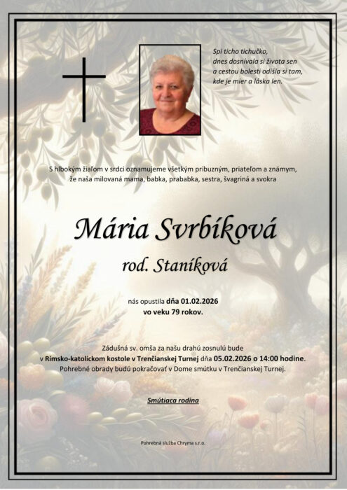 Ilustračný obrázok článku