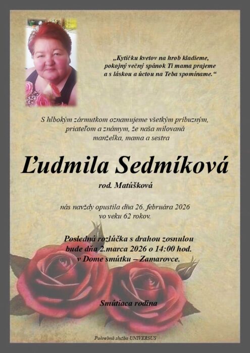 Ilustračný obrázok článku