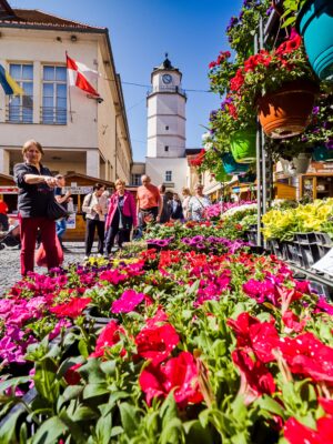 Ilustračný obrázok článku