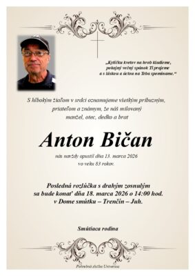 Ilustračný obrázok článku