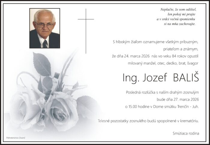 Ilustračný obrázok článku