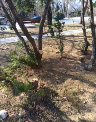 Ilustračný obrázok článku