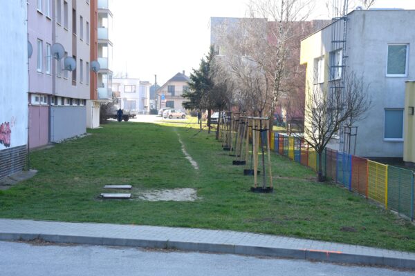 Ilustračný obrázok článku