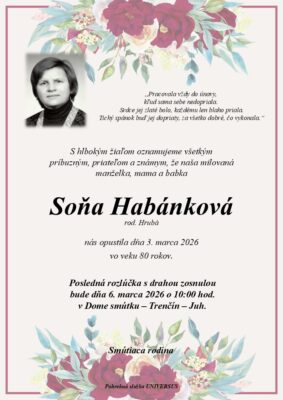 Ilustračný obrázok článku