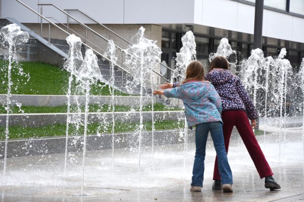 Ilustračný obrázok článku