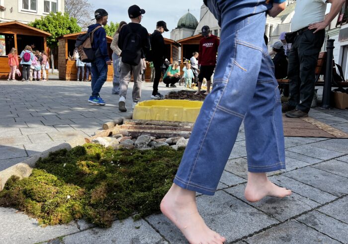 Ilustračný obrázok článku