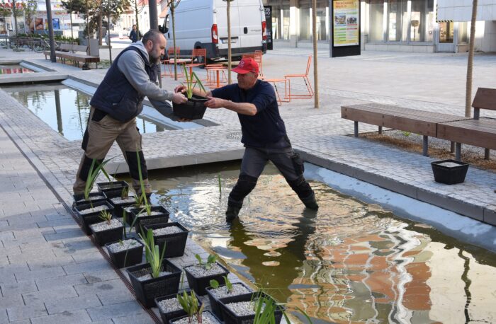 Ilustračný obrázok článku