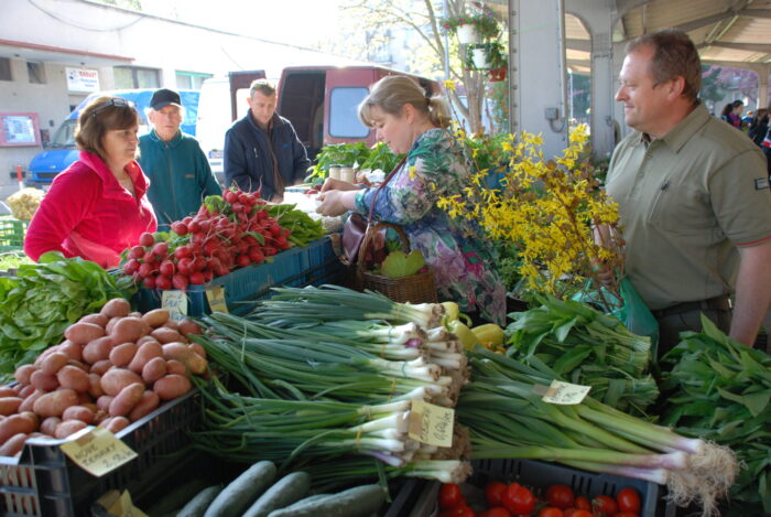 Ilustračný obrázok článku