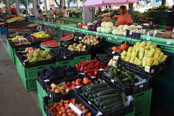 Ilustračný obrázok článku