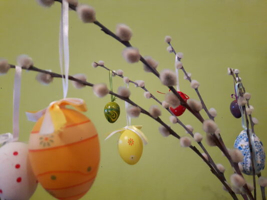 Ilustračný obrázok článku