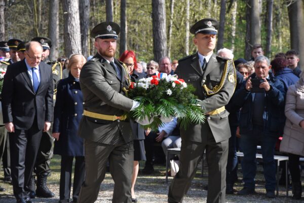 Ilustračný obrázok článku