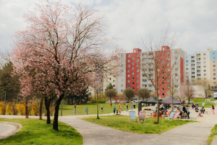 Ilustračný obrázok článku