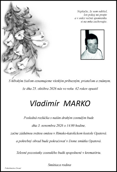 Ilustračný obrázok článku